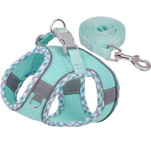 New Petank Dog Harness for Small